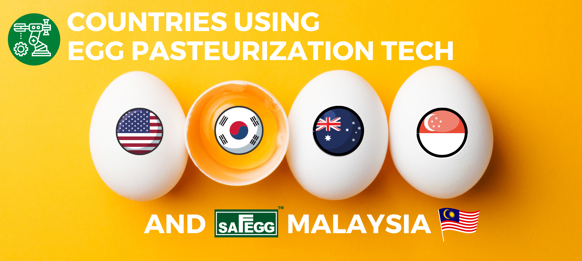 Countries Using Egg Pasteurization Technology