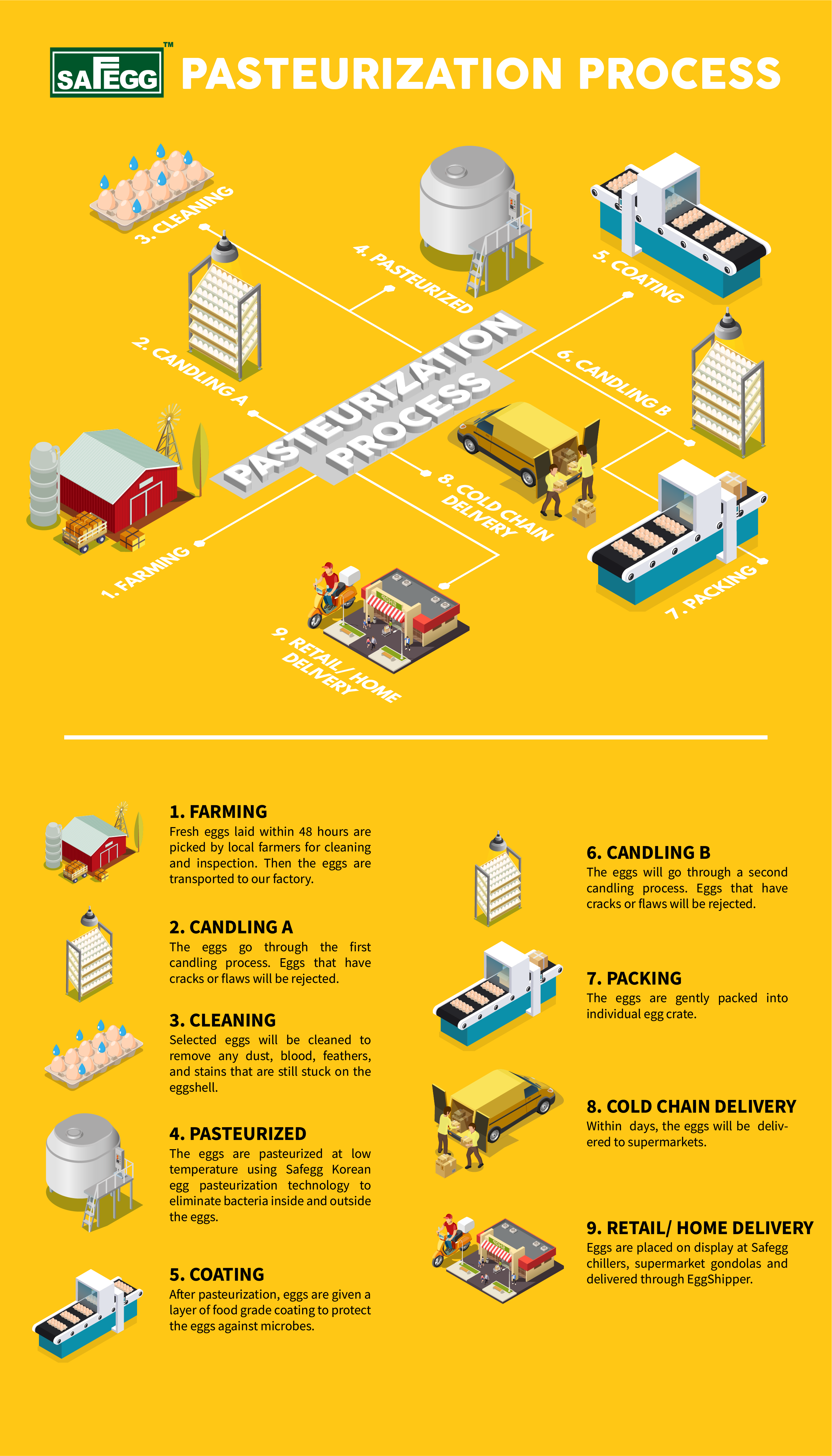 Egg Pasteurization Process