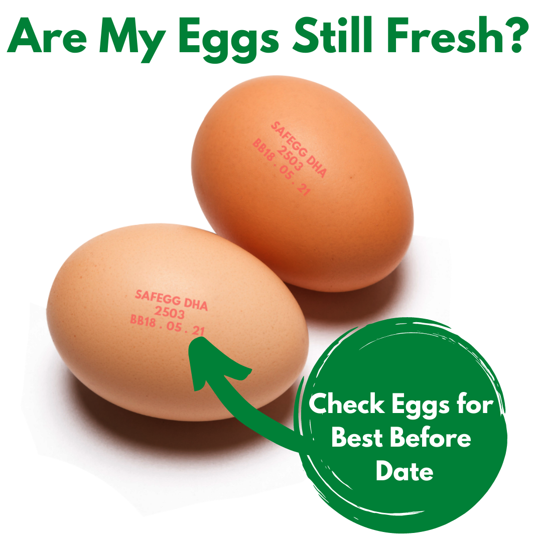 Check Egg Shells for Best Before Date