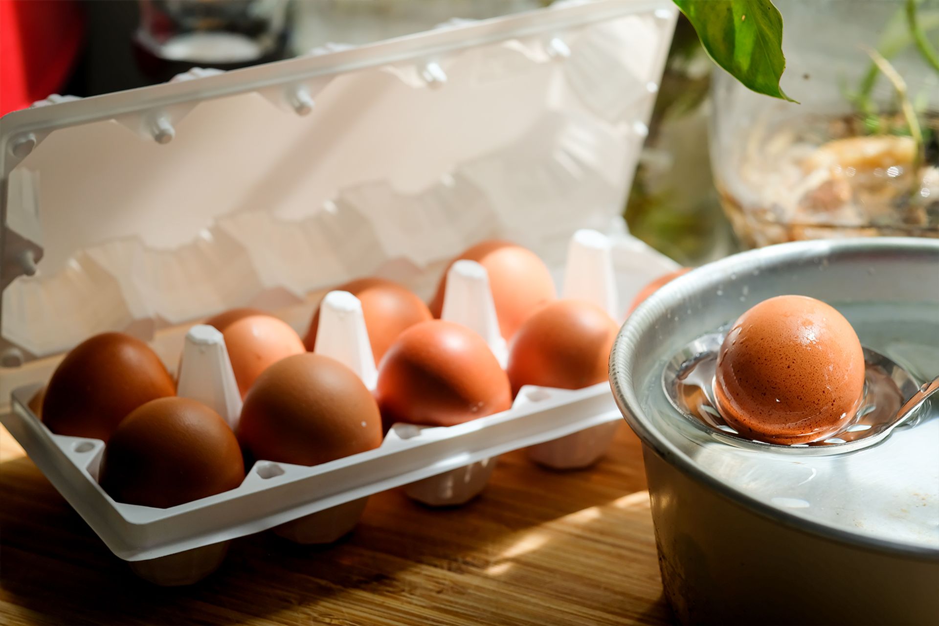 Eggshipper by Safegg™ |  Malaysia's No.1 Online EGGstore | DAILY ESSENTIALS