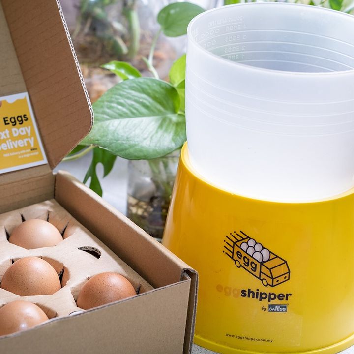 Egg Boiler-2