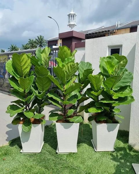 FB_IMG_1663742446227