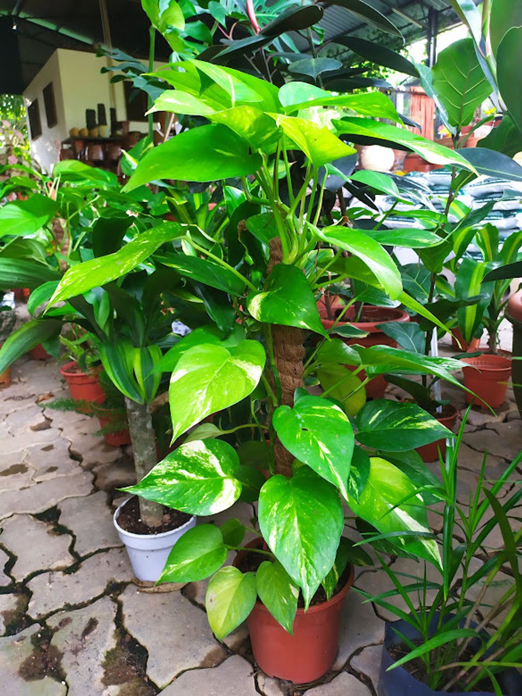 mmexport1657817950095