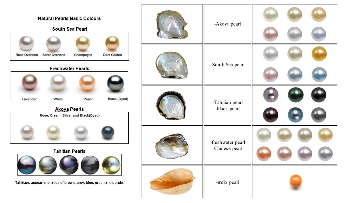 珍珠Pearl
