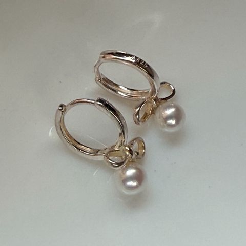 LINE_ALBUM_耳環1_260812_18