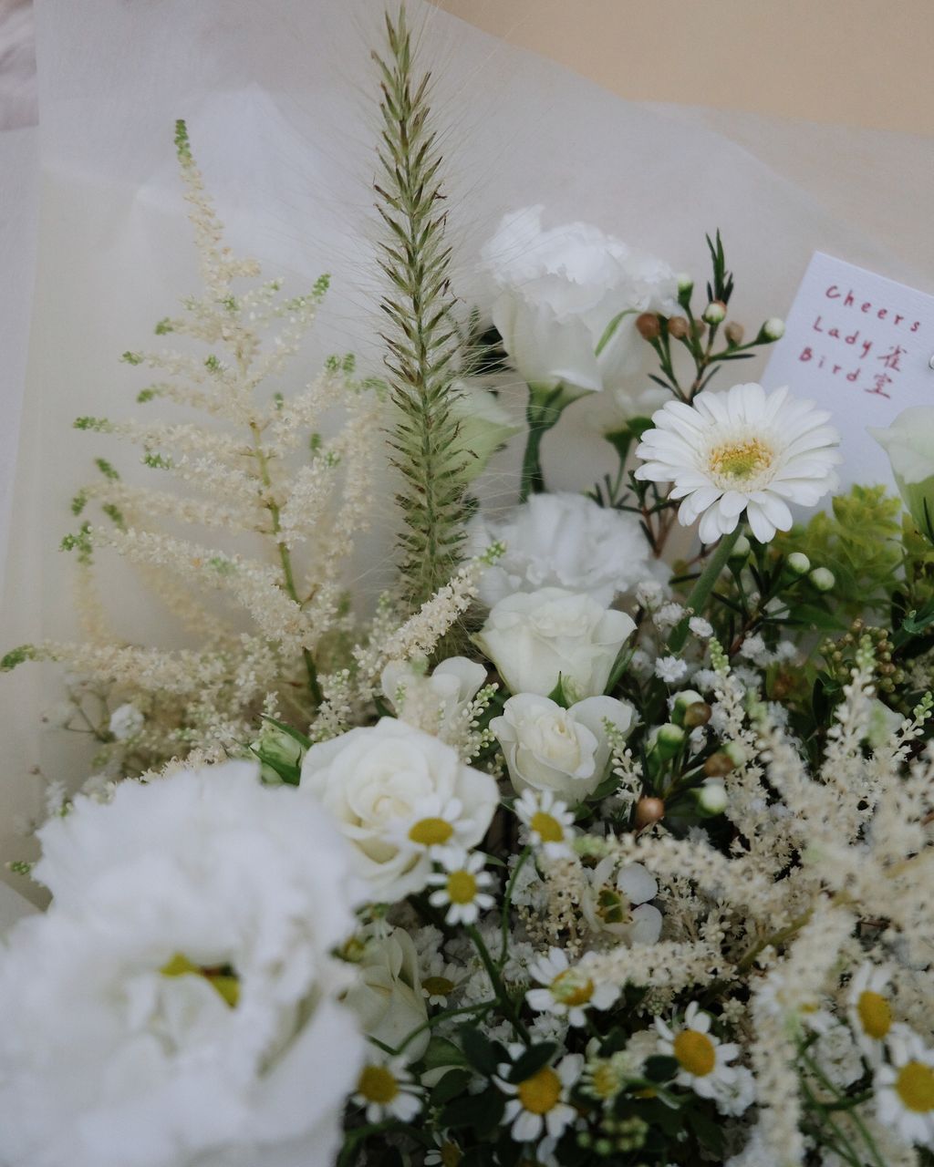 32934294-FE82-4E64-A012-2FDCF57B6A71-1483-00000109A700DB33