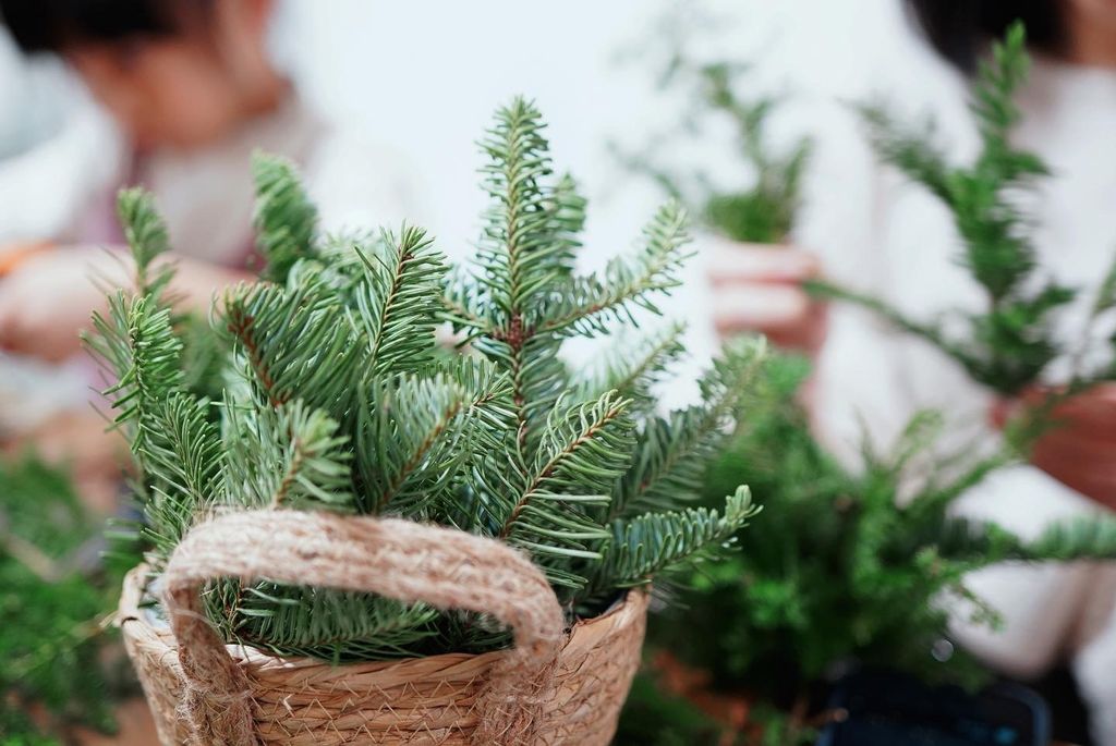 DB447AAB-9C74-44B5-B674-E0B9D1B0AD2E