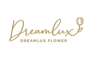 Dreamlux Gift
