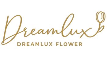 Dreamlux Gift