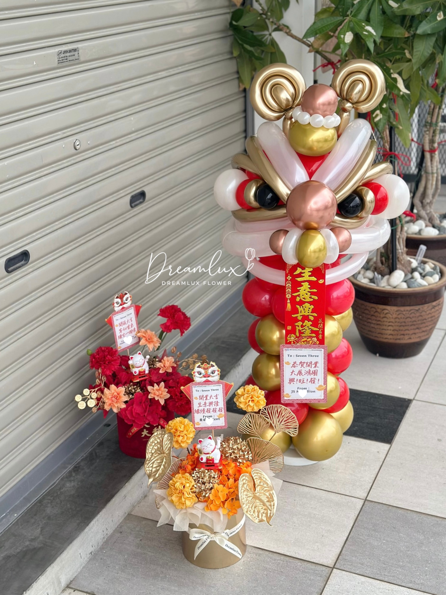 Dreamlux Gift | 