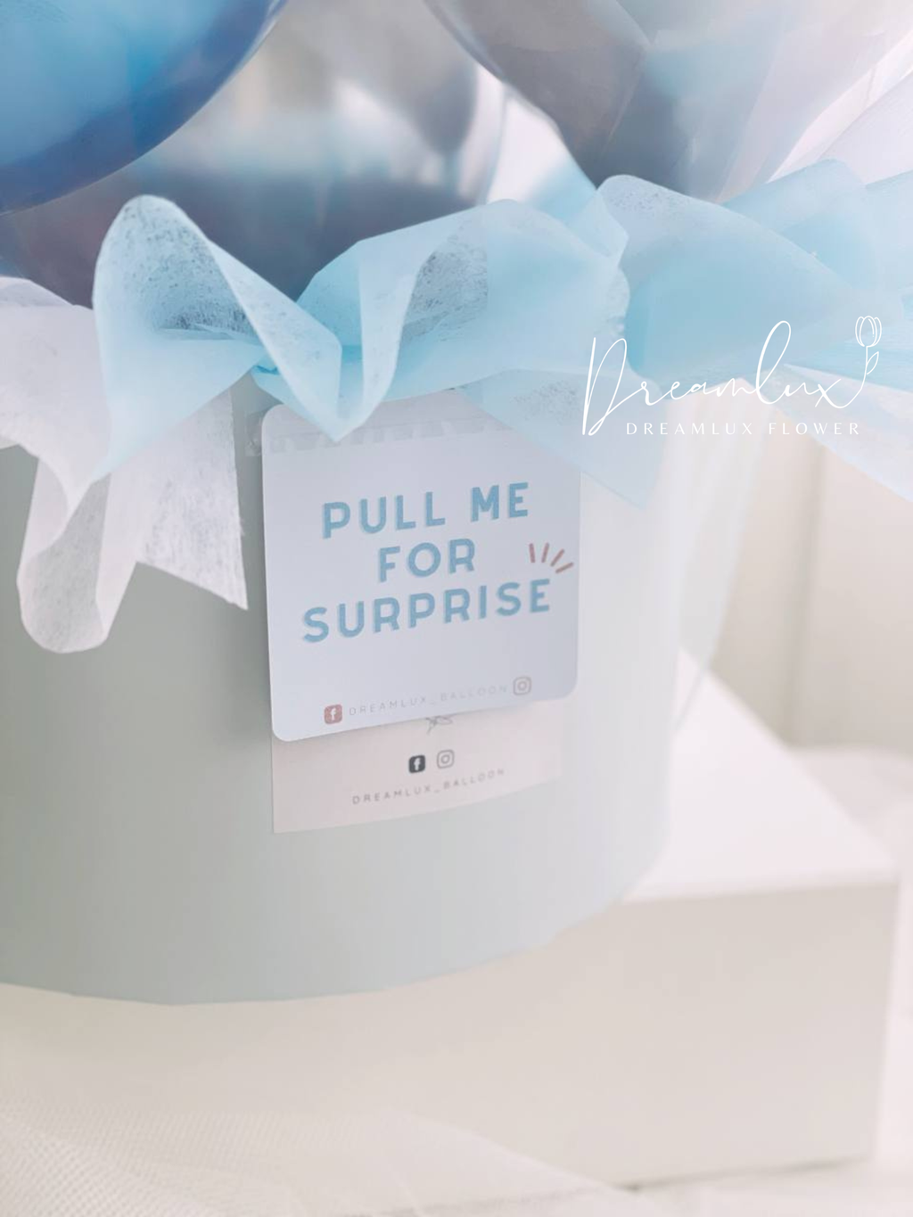 Copy of  Dreamlux flower (Logo)