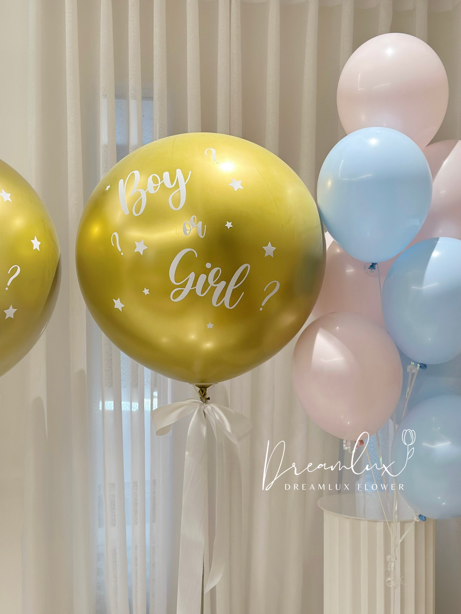 Copy of  Dreamlux flower (Logo)