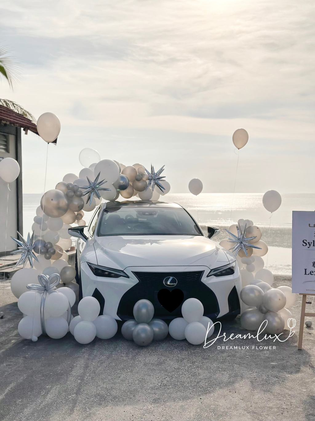 Copy of  Dreamlux flower (Logo)