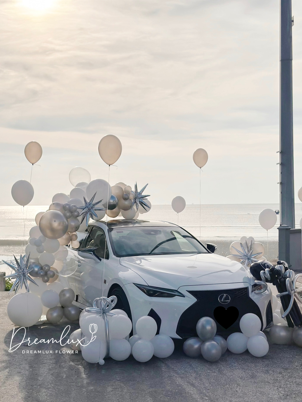 Copy of  Dreamlux flower (Logo)