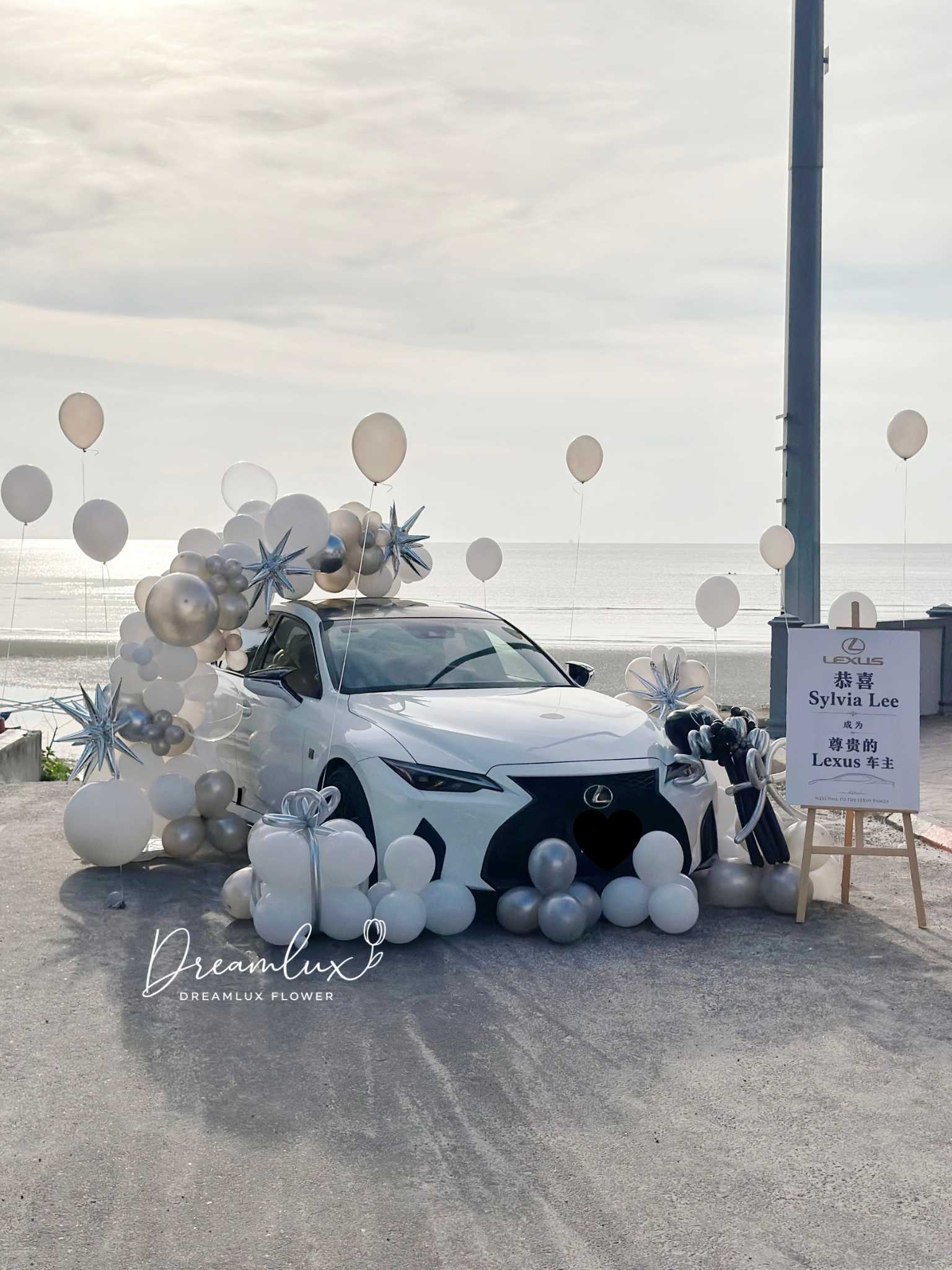 Copy of  Dreamlux flower (Logo)