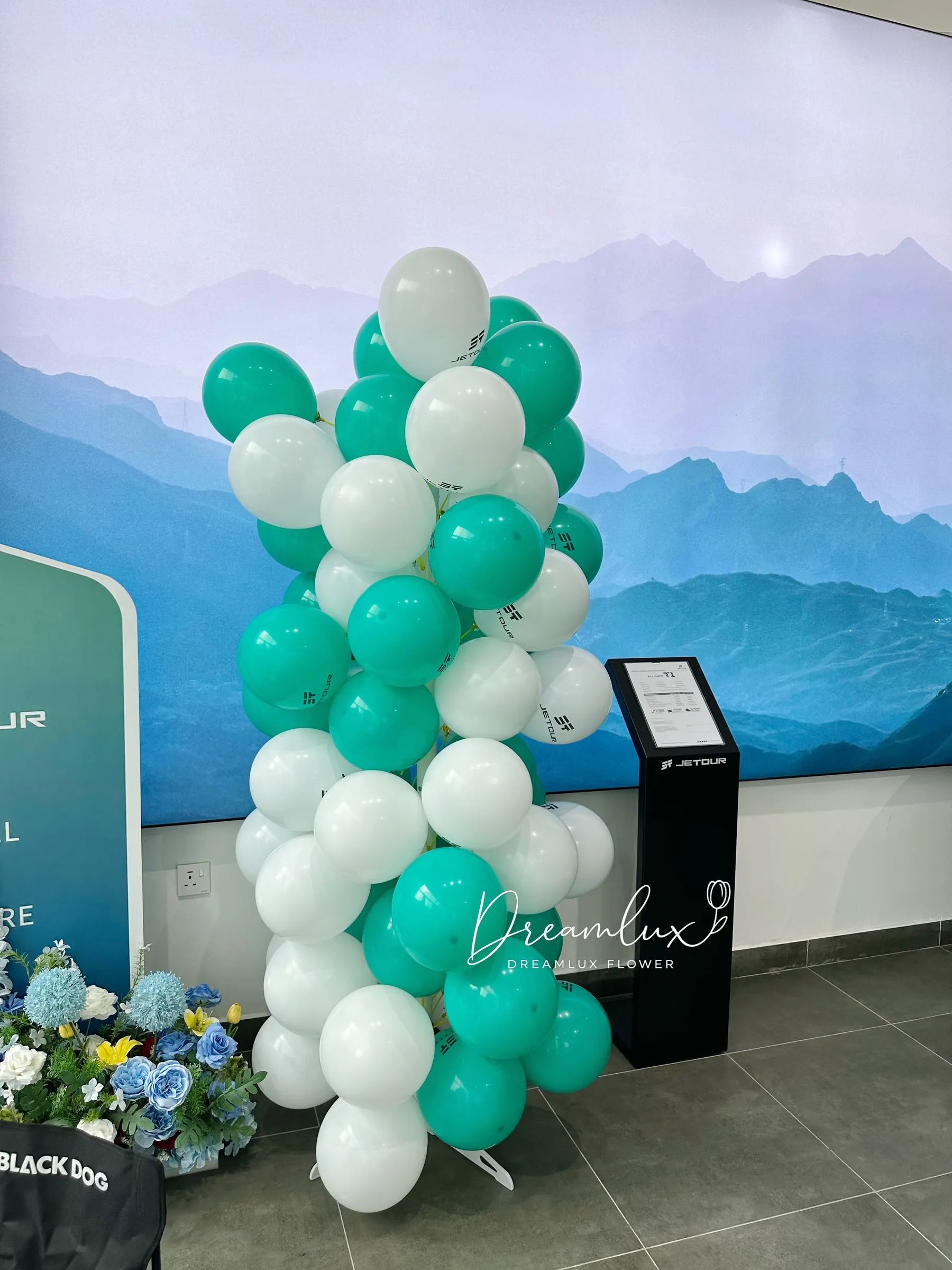 image_C0A67E63-9464-4051-AC7D-47D007AD408B_1791614523