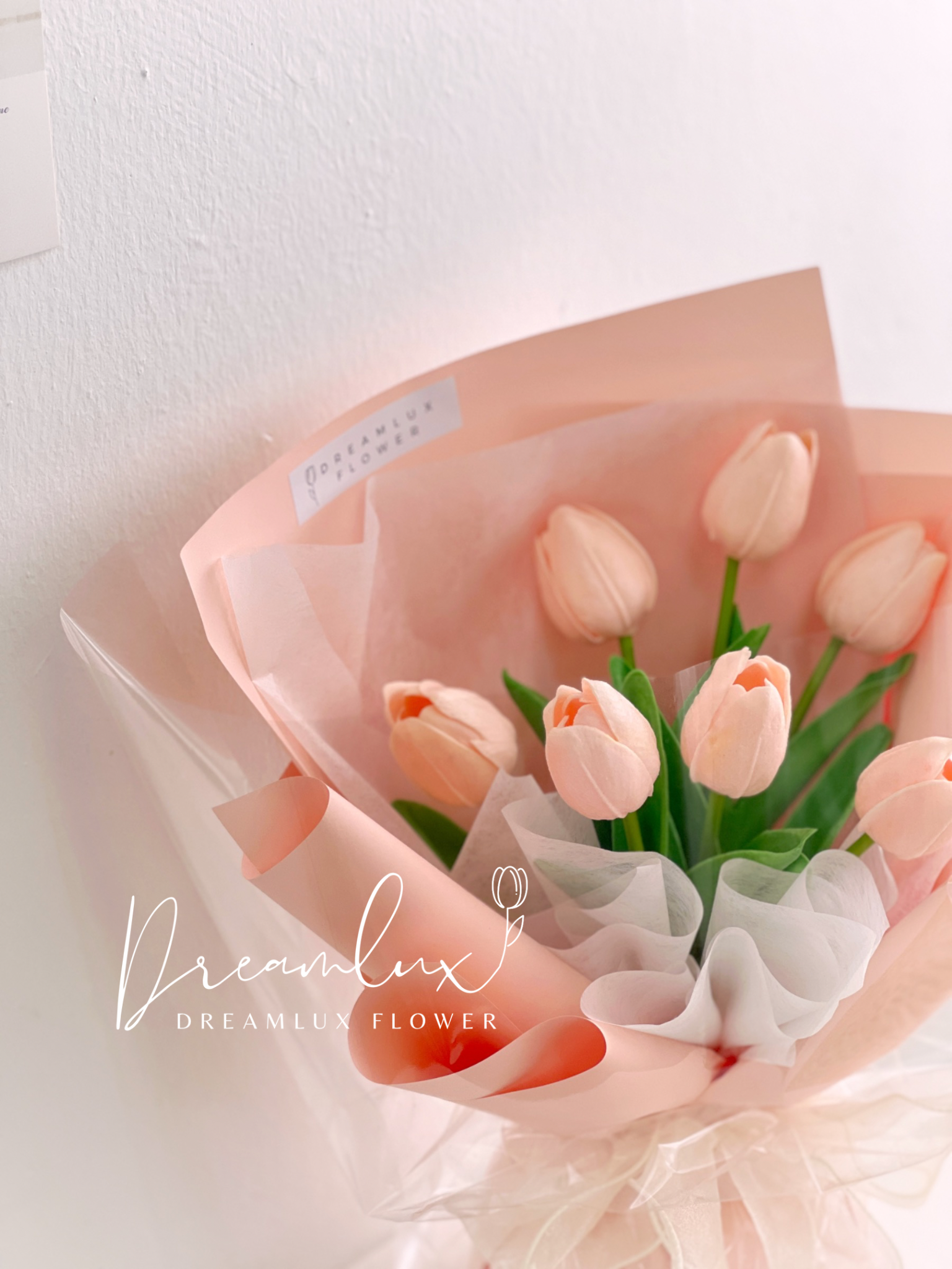 DA81DD1F-53AB-4958-A399-314AD01AAB31-1709795200272