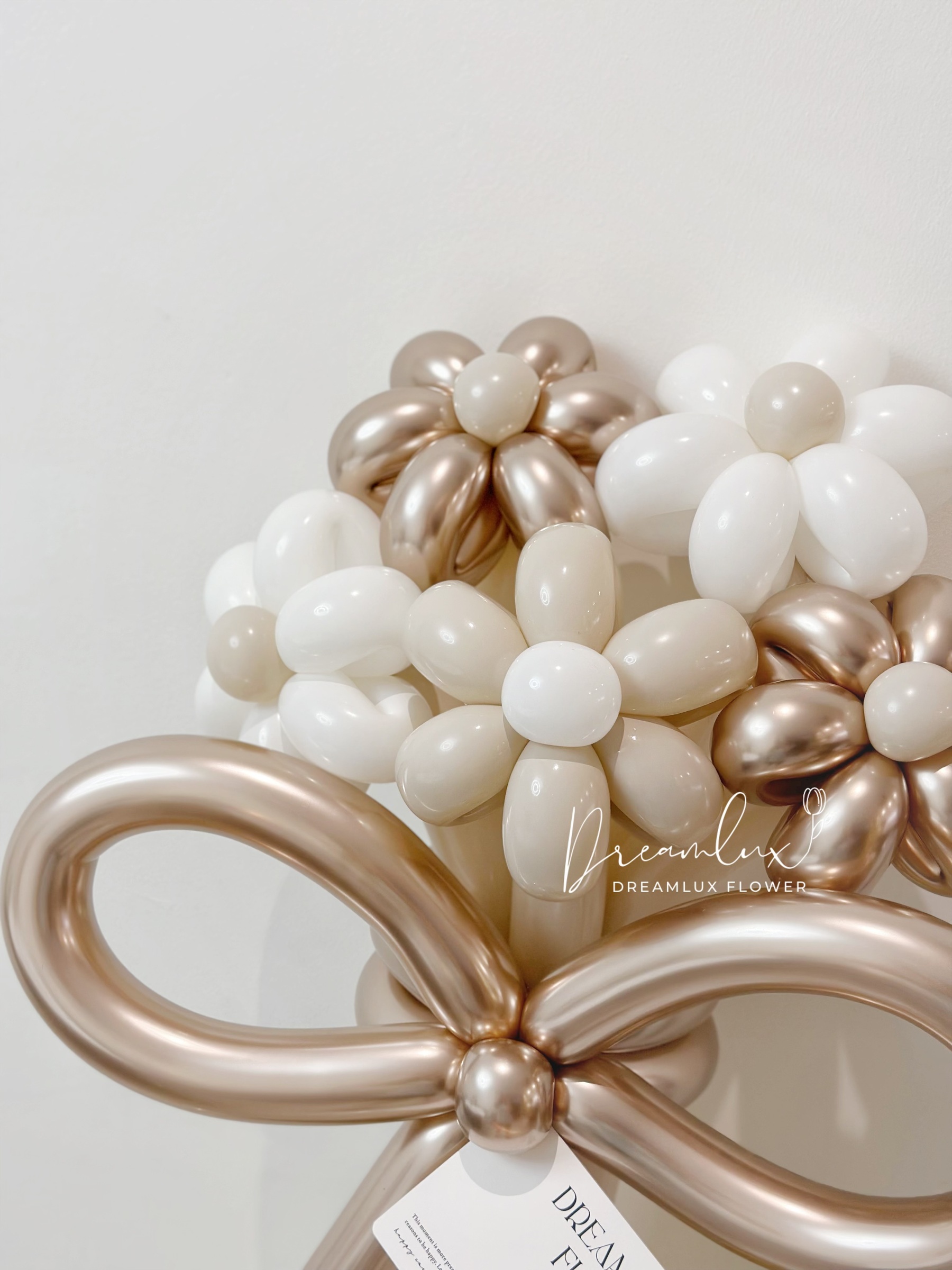 IMG_9897-1734359799936