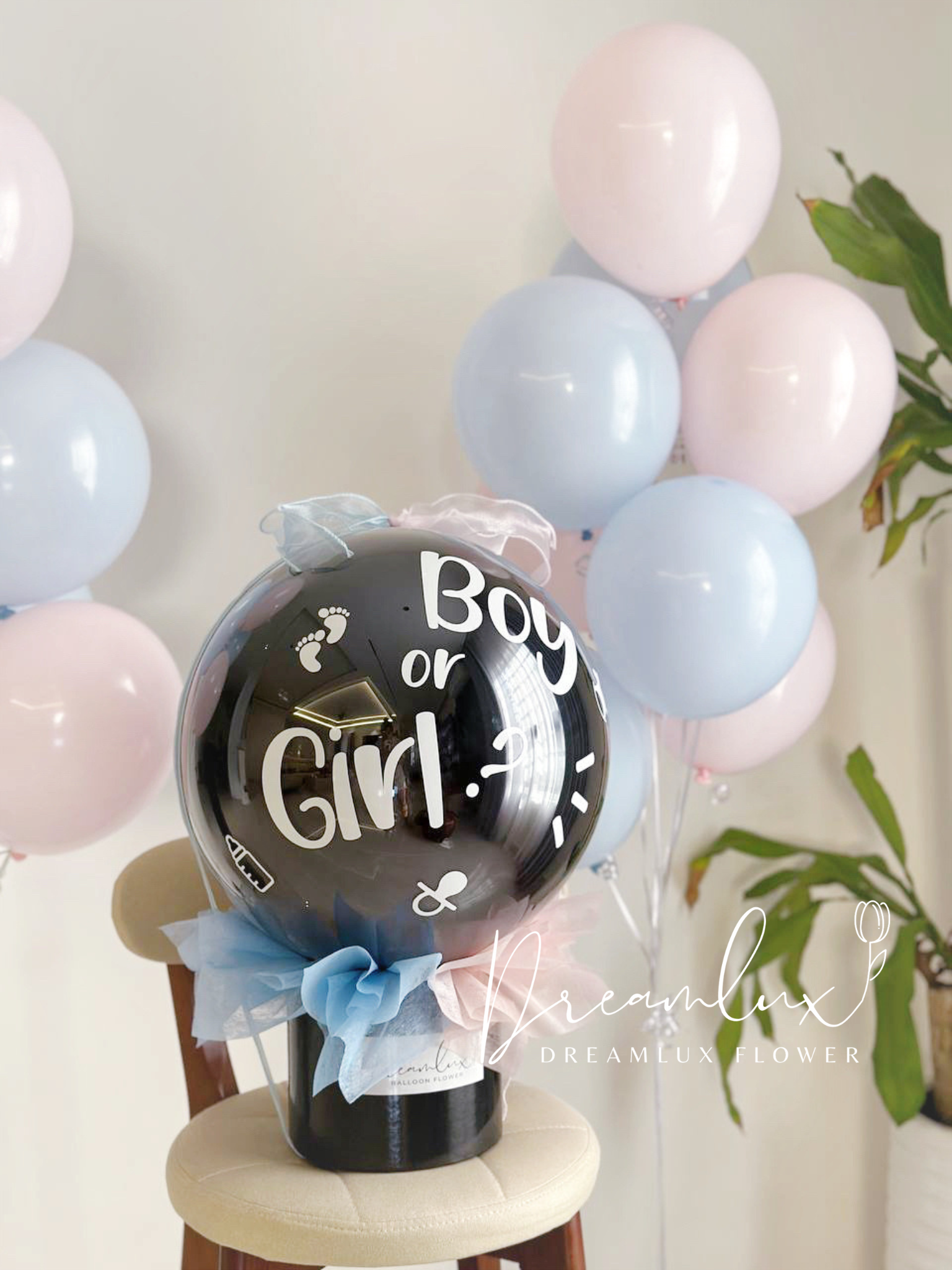 7BCE5B00-4085-4B84-B295-3234751EBA82