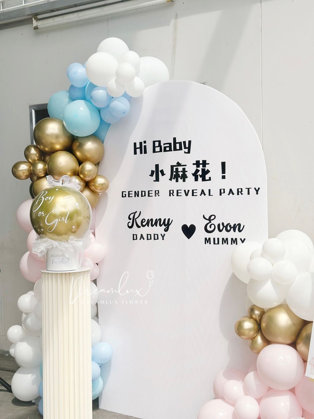 Copy of  Dreamlux flower (Logo)