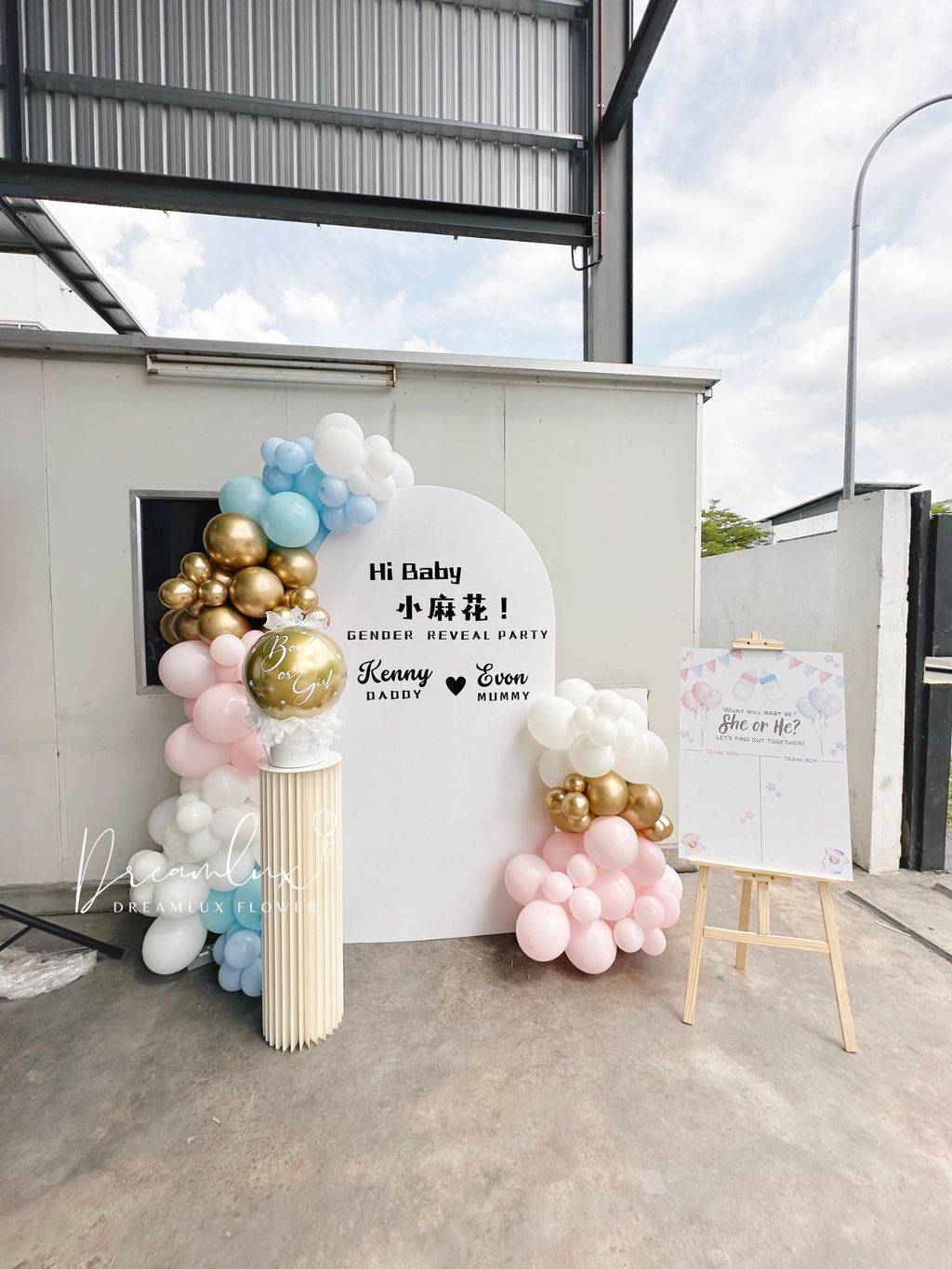 Copy of  Dreamlux flower (Logo)