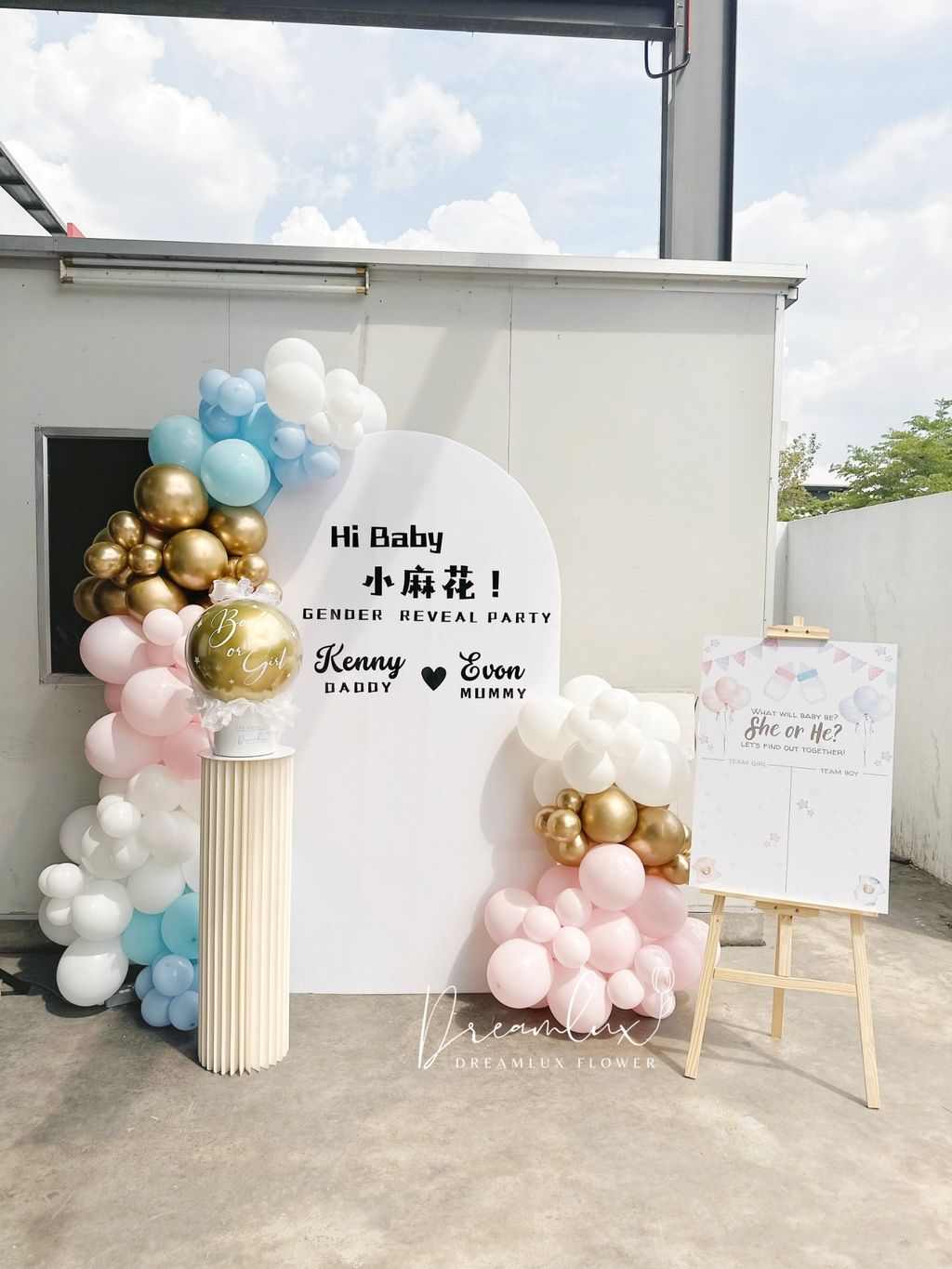 Copy of  Dreamlux flower (Logo)