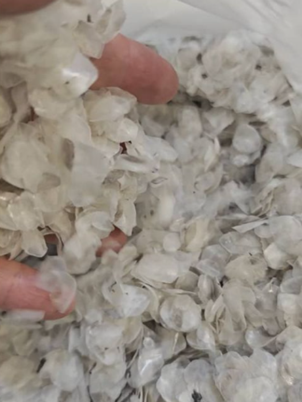 屏幕截图 2026-03-06 120228