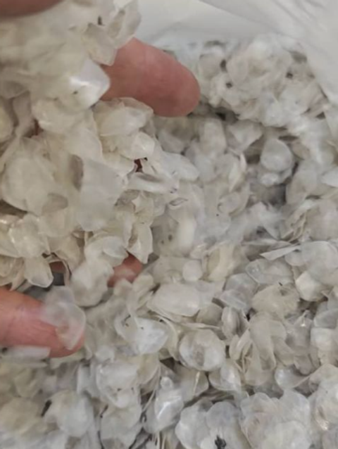 屏幕截图 2026-03-06 120228