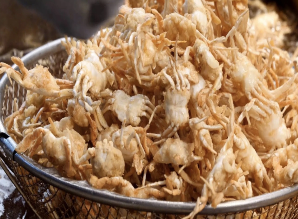 屏幕截图 2026-03-28 110103