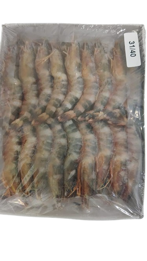 0004d0b5-e970-40f9-bd98-aec6011508e6-removebg-preview (1)