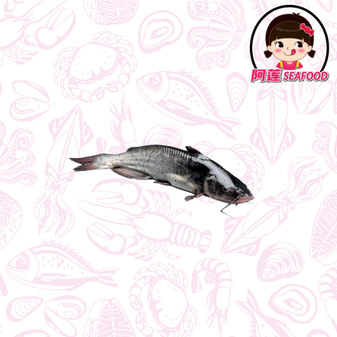 Untitled design (1)
