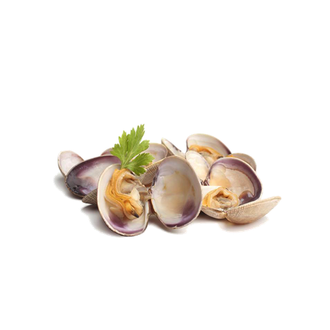 whole shell clam