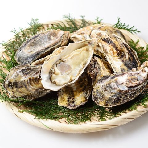 sashimi grade oyster