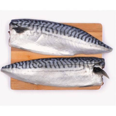 saba fillet.png