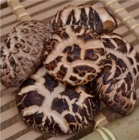 屏幕截图 2025-11-20 123834