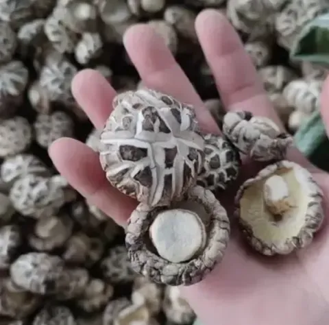 屏幕截图 2025-11-20 123828