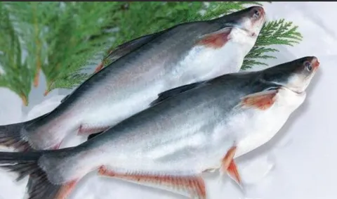 屏幕截图 2025-12-01 145516