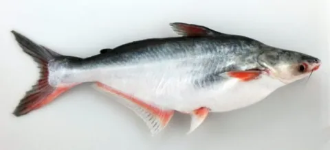 屏幕截图 2025-12-01 145525