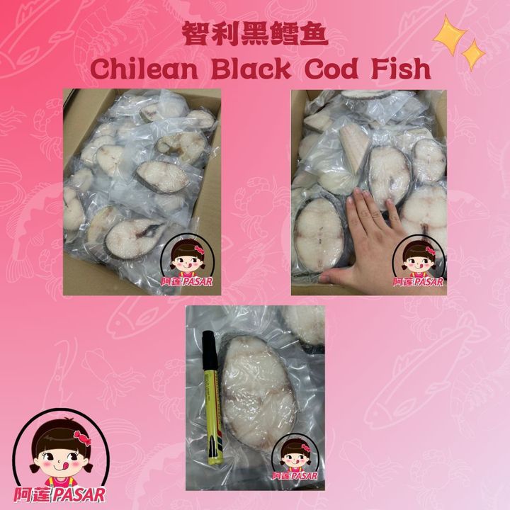 black cod