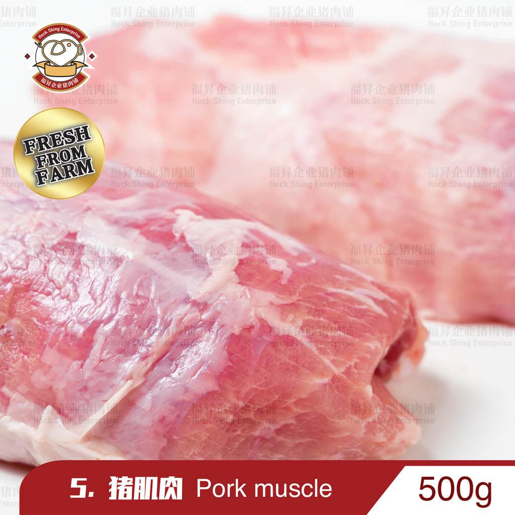 肌肉.png