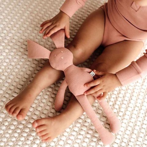 Organic Snuggle Bunny - Rose (5)