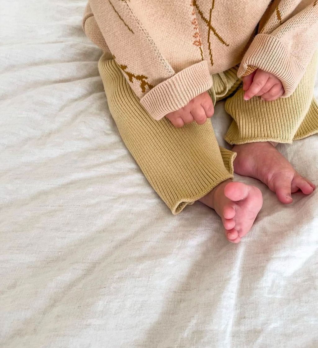 IMG_4079-1737434947801