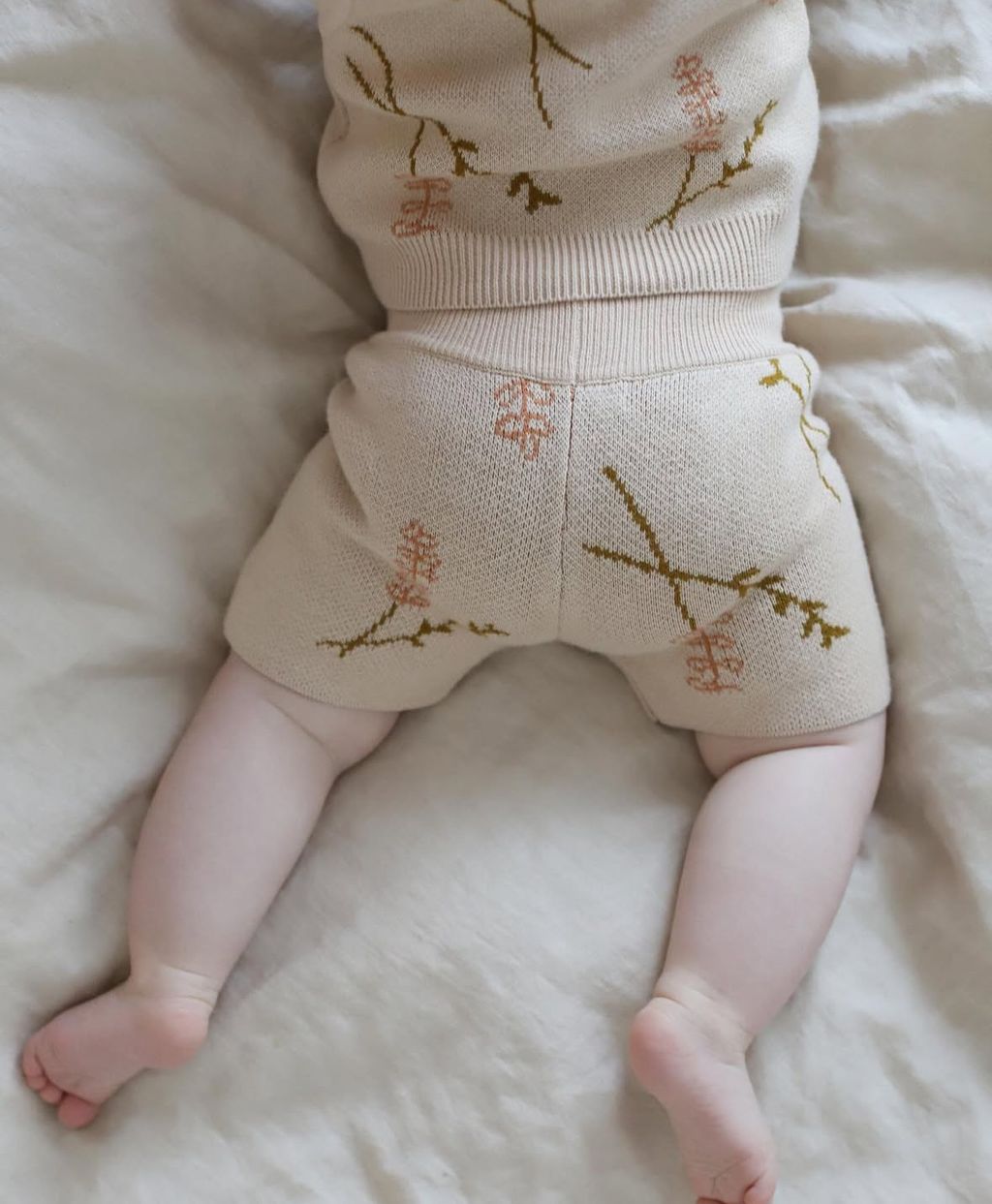 IMG_4084-1737435058979