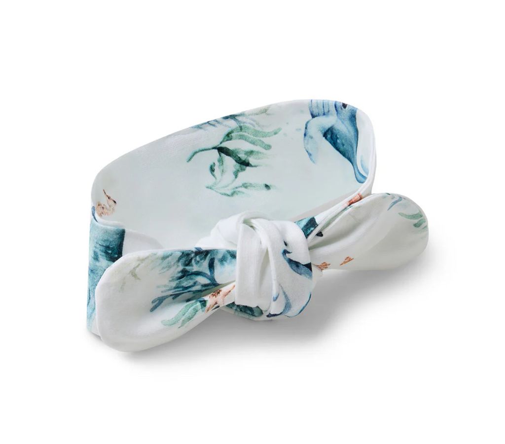 image_22BA843B-3330-4611-B04F-4FAC8A2B019D_1749261859