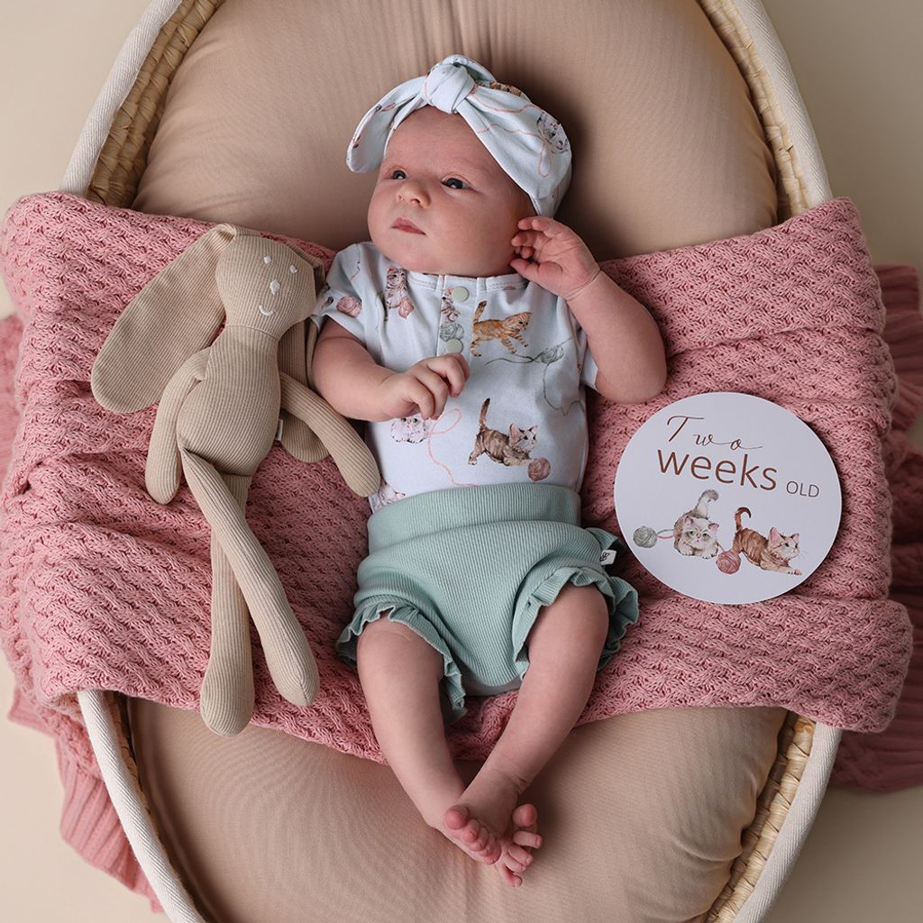 snuggle_hunny_cats_short_sleeve_bodysuit_12