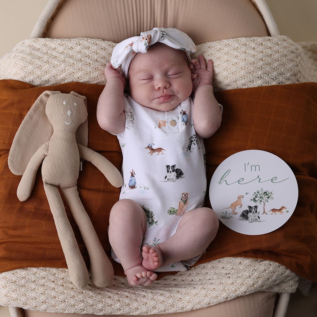 snuggle_hunny_dogs_short_sleeve_bodysuit_10