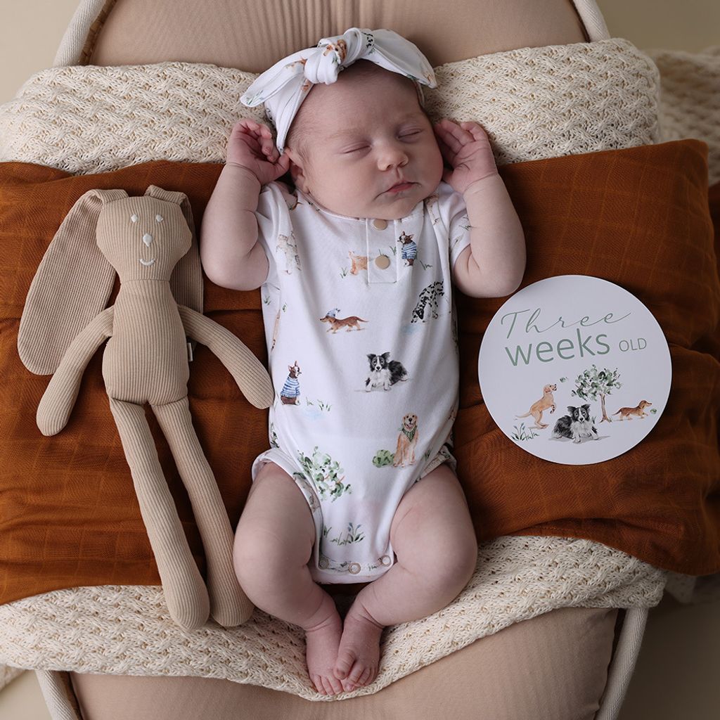 snuggle_hunny_dogs_short_sleeve_bodysuit_9