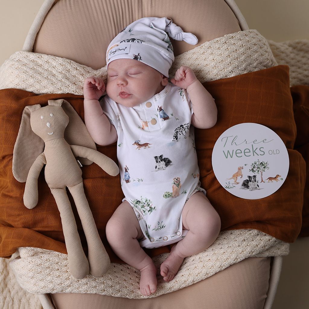 snuggle_hunny_dogs_short_sleeve_bodysuit_8