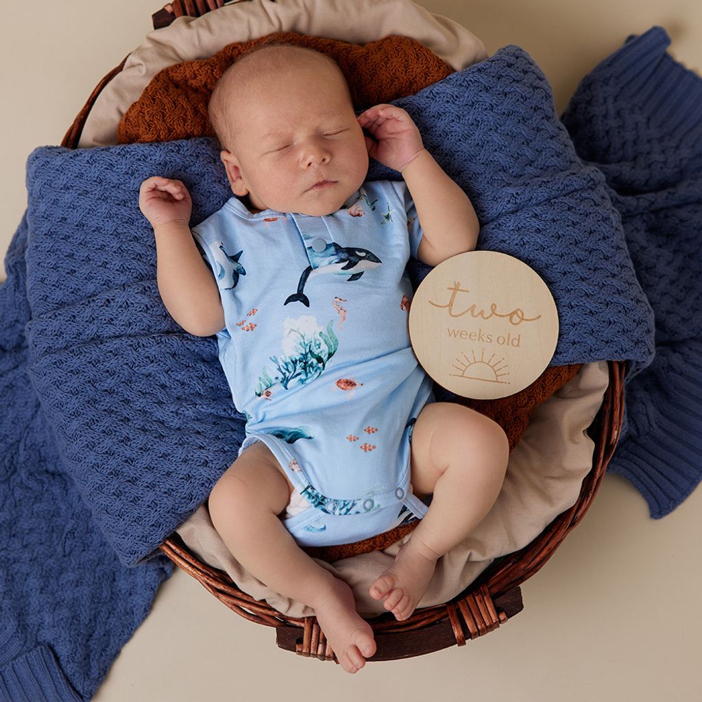 snuggle_hunny_blue_ocean_ss_bodysuit_7