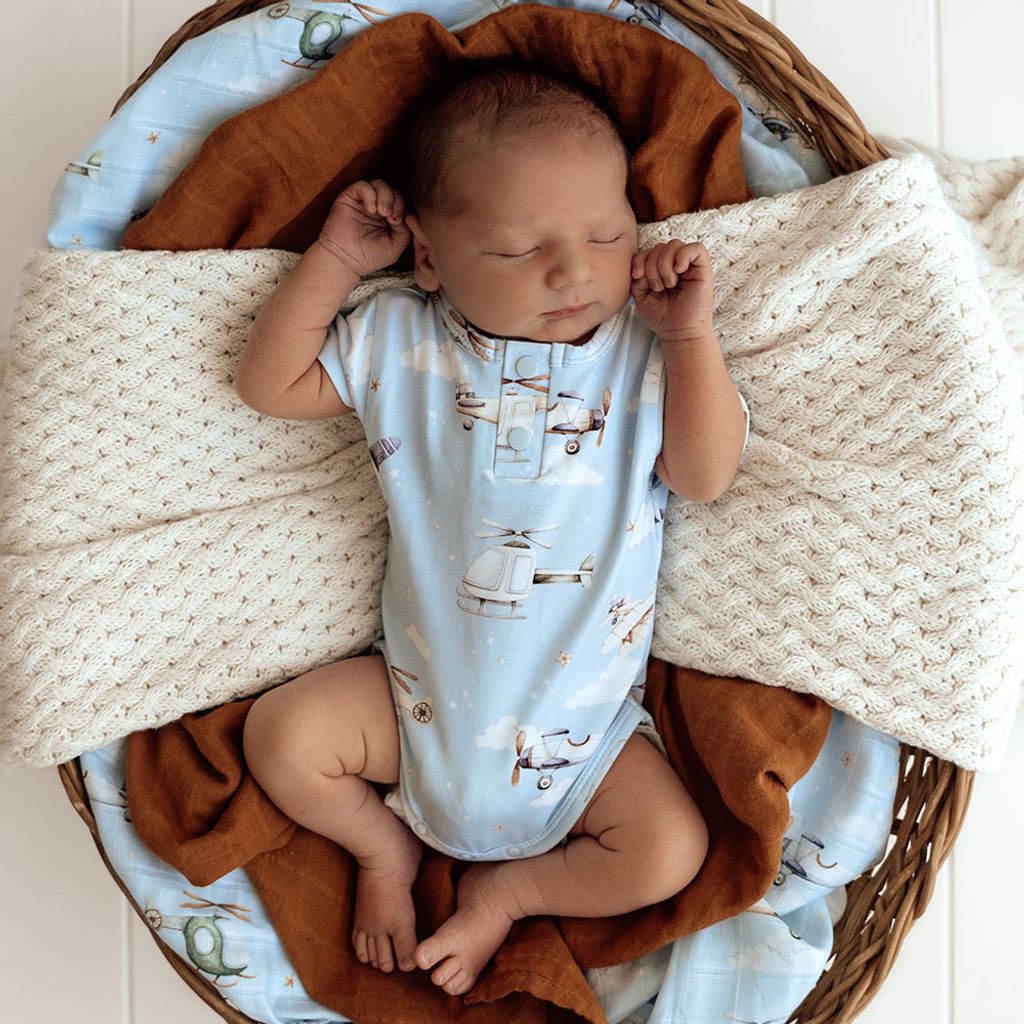 taking_flight_ss_bs_13